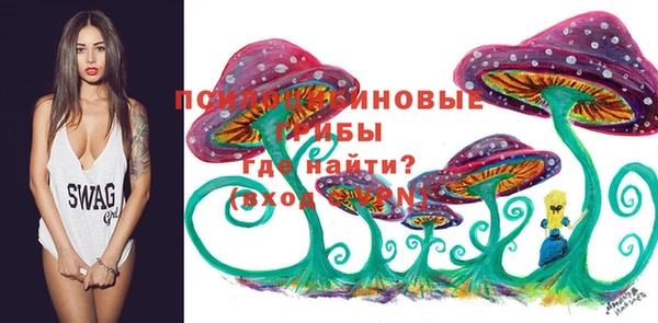 сатива Михайловск