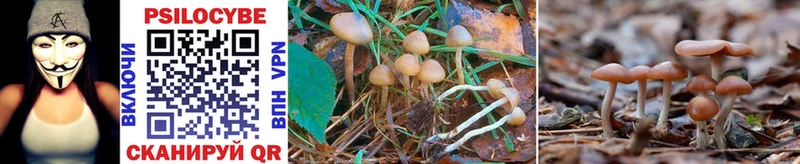 Псилоцибиновые грибы Magic Shrooms  Нариманов 