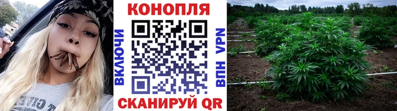 Шишки марихуана VHQ  Нариманов 